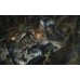 War Mongrels Renegade Edition (PS5), ,
